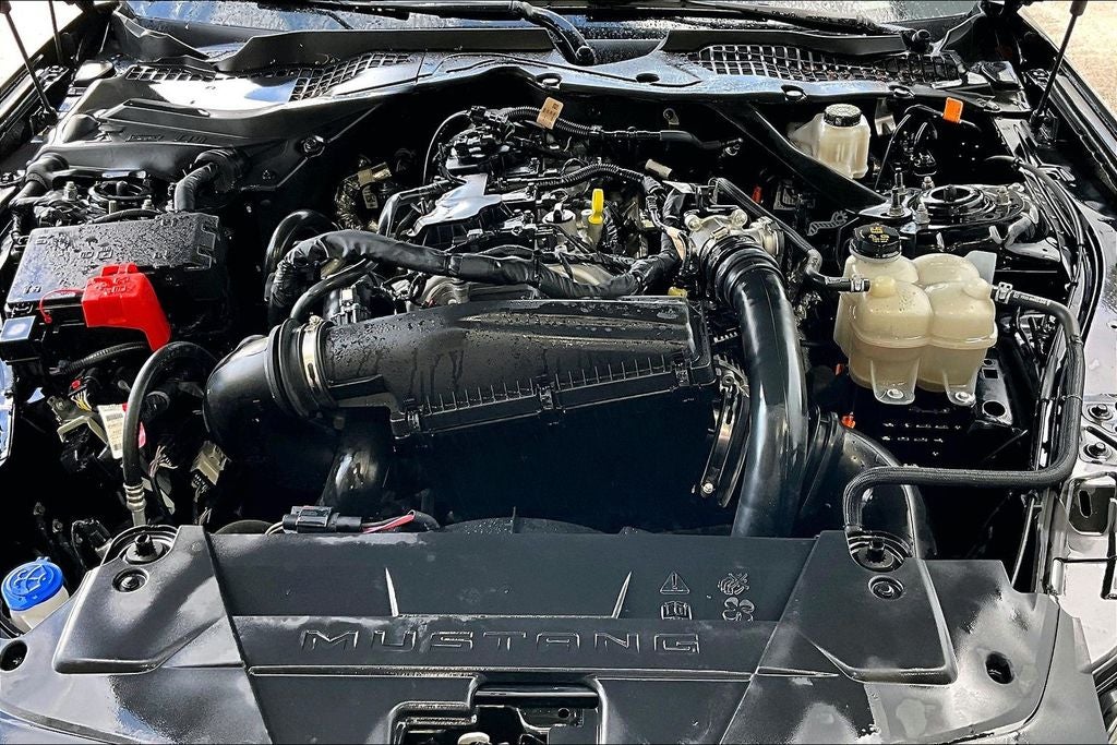 2024 Ford Mustang EcoBoost Premium