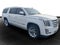 2019 Cadillac Escalade ESV Platinum Edition
