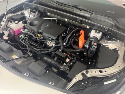 2024 Toyota Venza LE