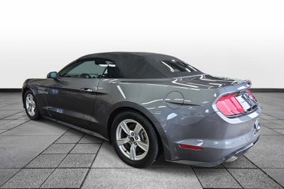 2023 Ford Mustang EcoBoost