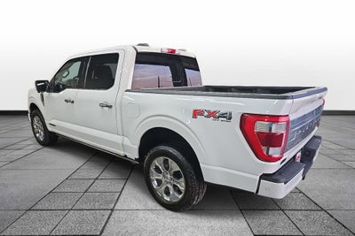 2021 Ford F-150 Platinum