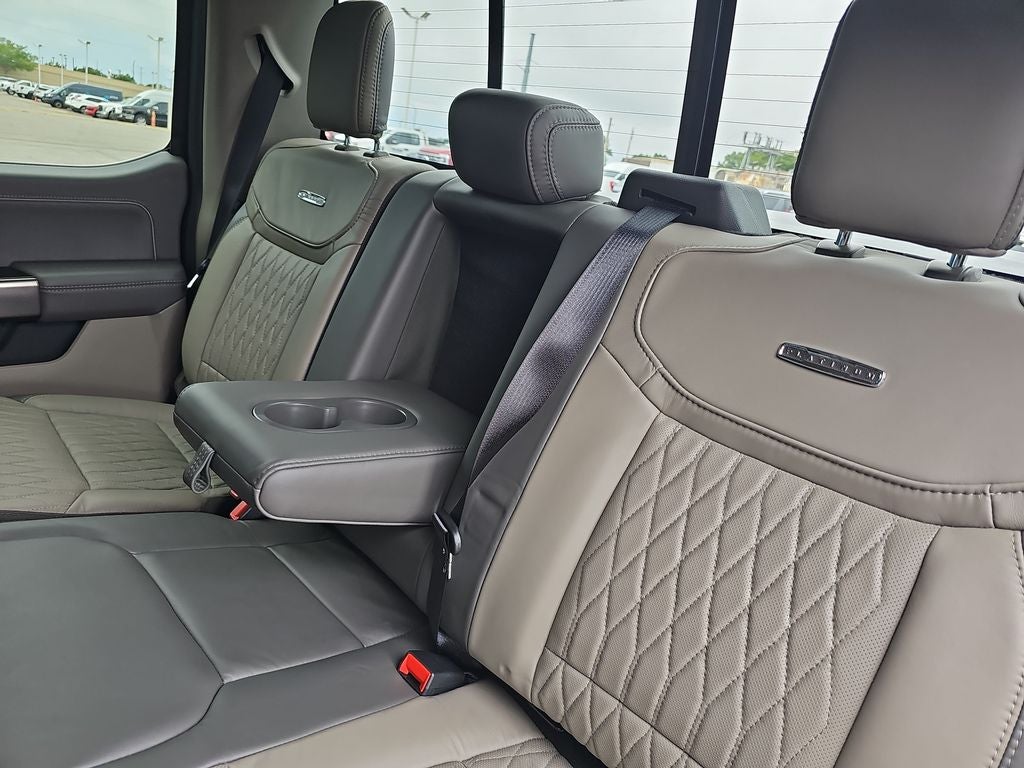 2024 Ford F-150 Platinum